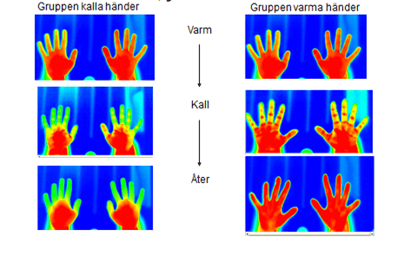 Bild1